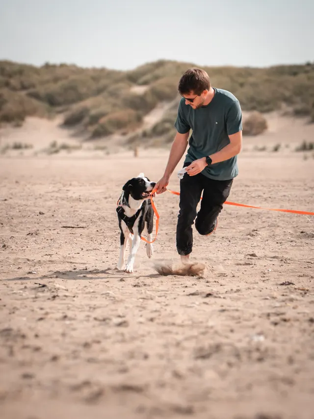 Dominik mit Kamera beim Hundeshooting